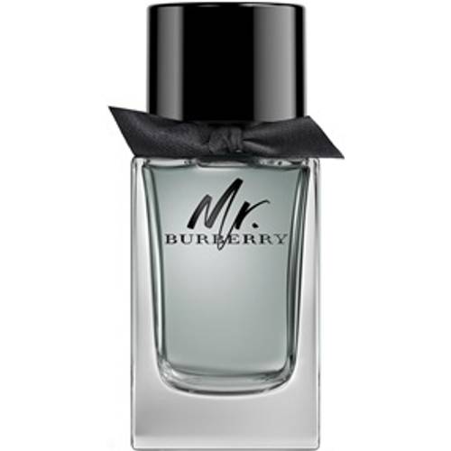 Burberry Mr. Burberry EdT 100ml